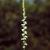 Spiranthes tuberosa var. gracilis