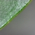 Close-up photo of the leaf margin.