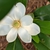 bloom May 2021