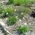 Form in the spring in Moore County