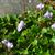 in spring in Moore County
