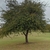 Form in Nov. in Texas