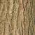 Bark