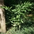 Form