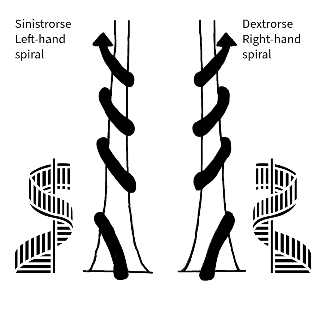 diagram showing sinistrorse and dextrorse vines