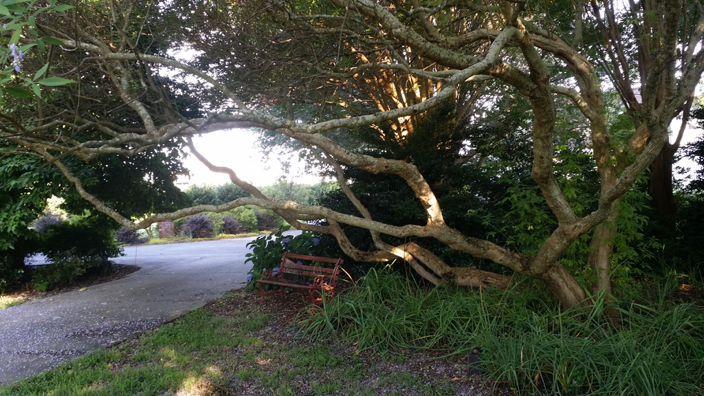 Branch form